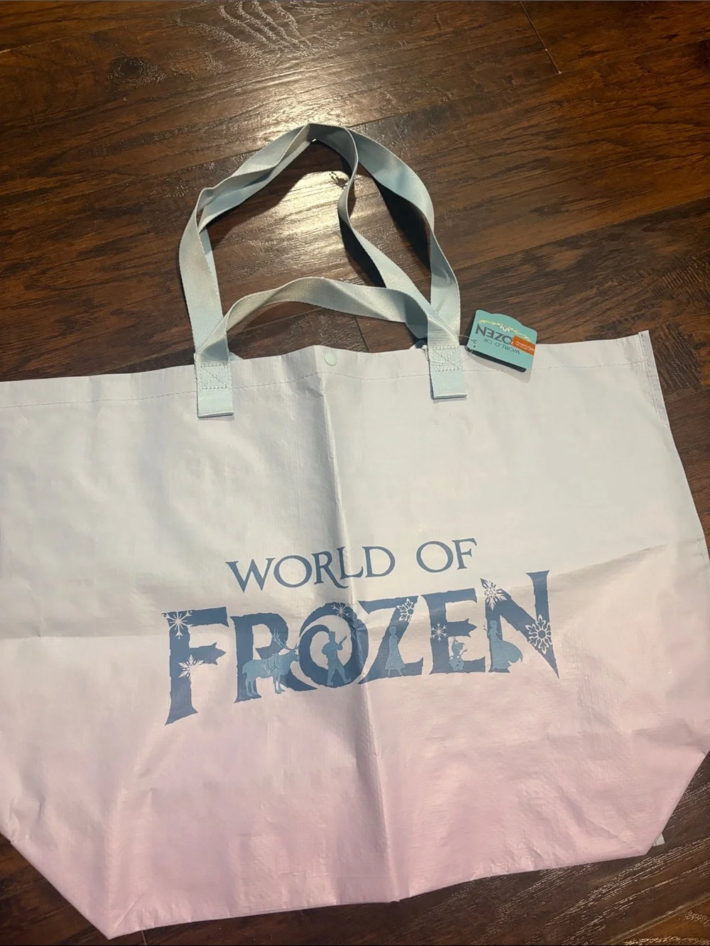 Disneyland Hong Kong Exclusive FROZEN Set of 2 reusable bags (1 small, 1 large)